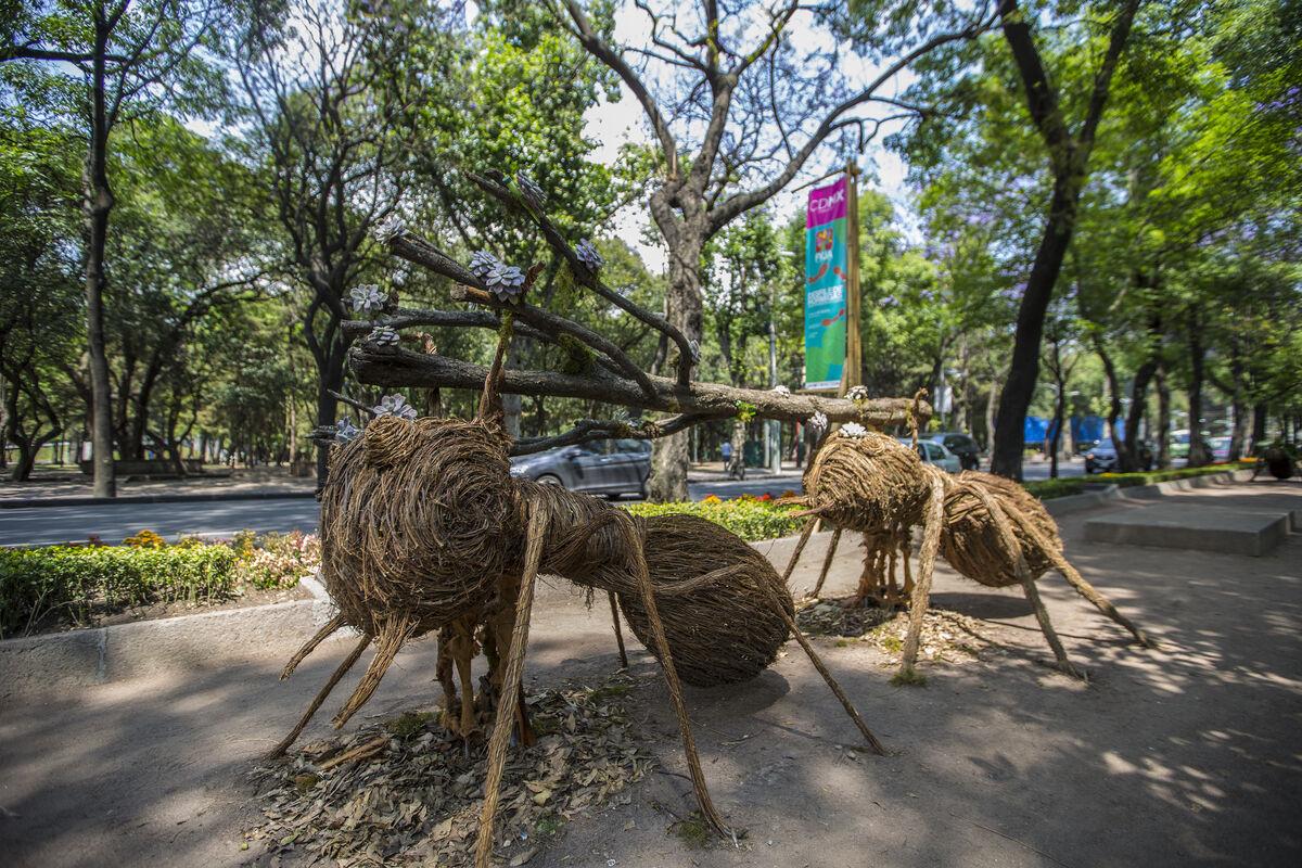 El Hormiguero y Santaolalla: ¿Polémica Televisiva o Ataque Machista?