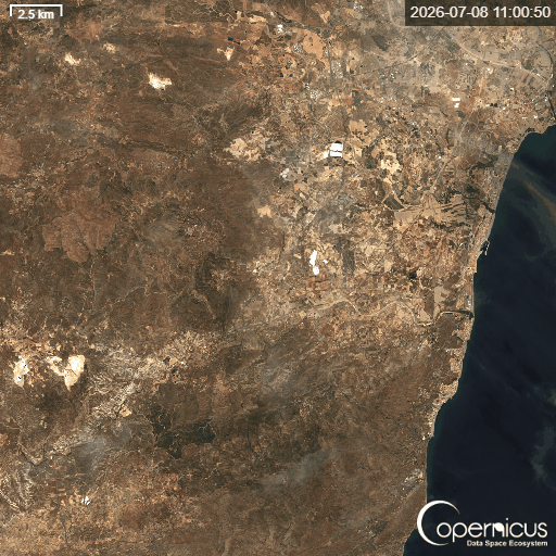 Animación de satélite Sentinel-2 que alterna entre el 8 de julio de 2026, antes del incendio, y el 10 de julio, con el fuego ya activo en la sierra entre Bédar y Los Gallardos